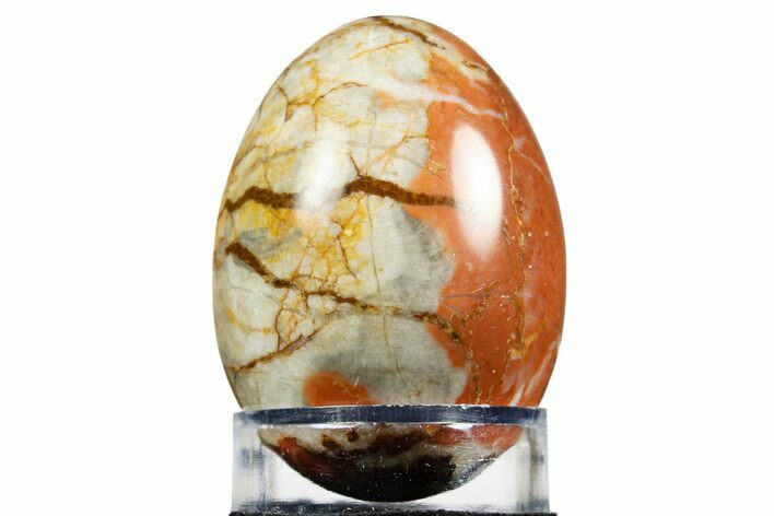 Colorful Polished Marble Egg - California #308746